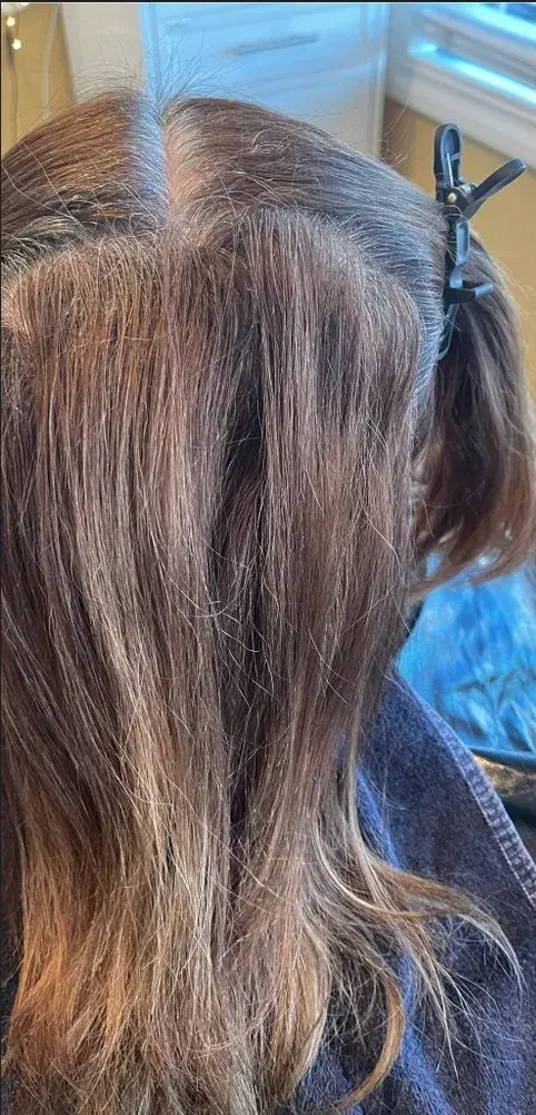 Hair before balayage color treatment at F&J Beauty Studio in Anaheim